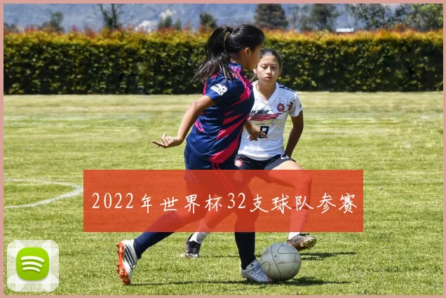 2022年世界杯32支球队参赛