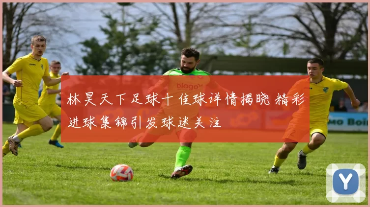 林昊天下足球十佳球详情揭晓 精彩进球集锦引发球迷关注